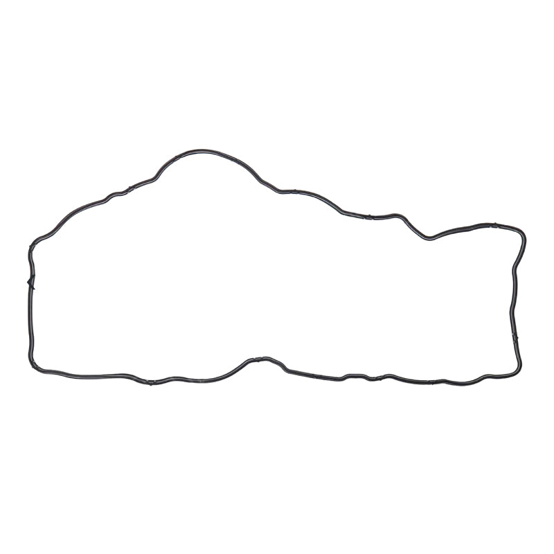 4899228.jpg