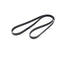 Serpentine-belt-generic-pic.jpg