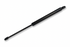 Bomag Bonnet Strut BO-05581112