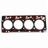Bomag Cylinder Head Gasket BO-31781010
