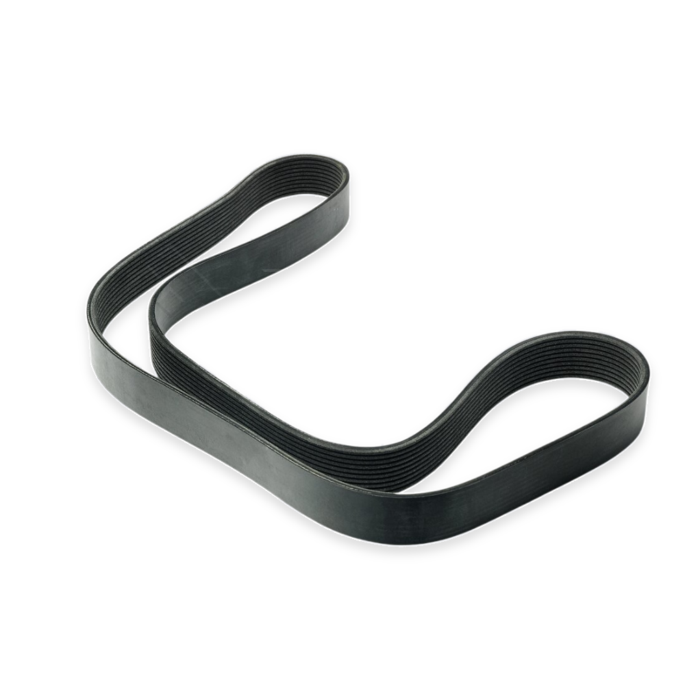 Bomag Engine V-Ribbed Belt BO-08820183