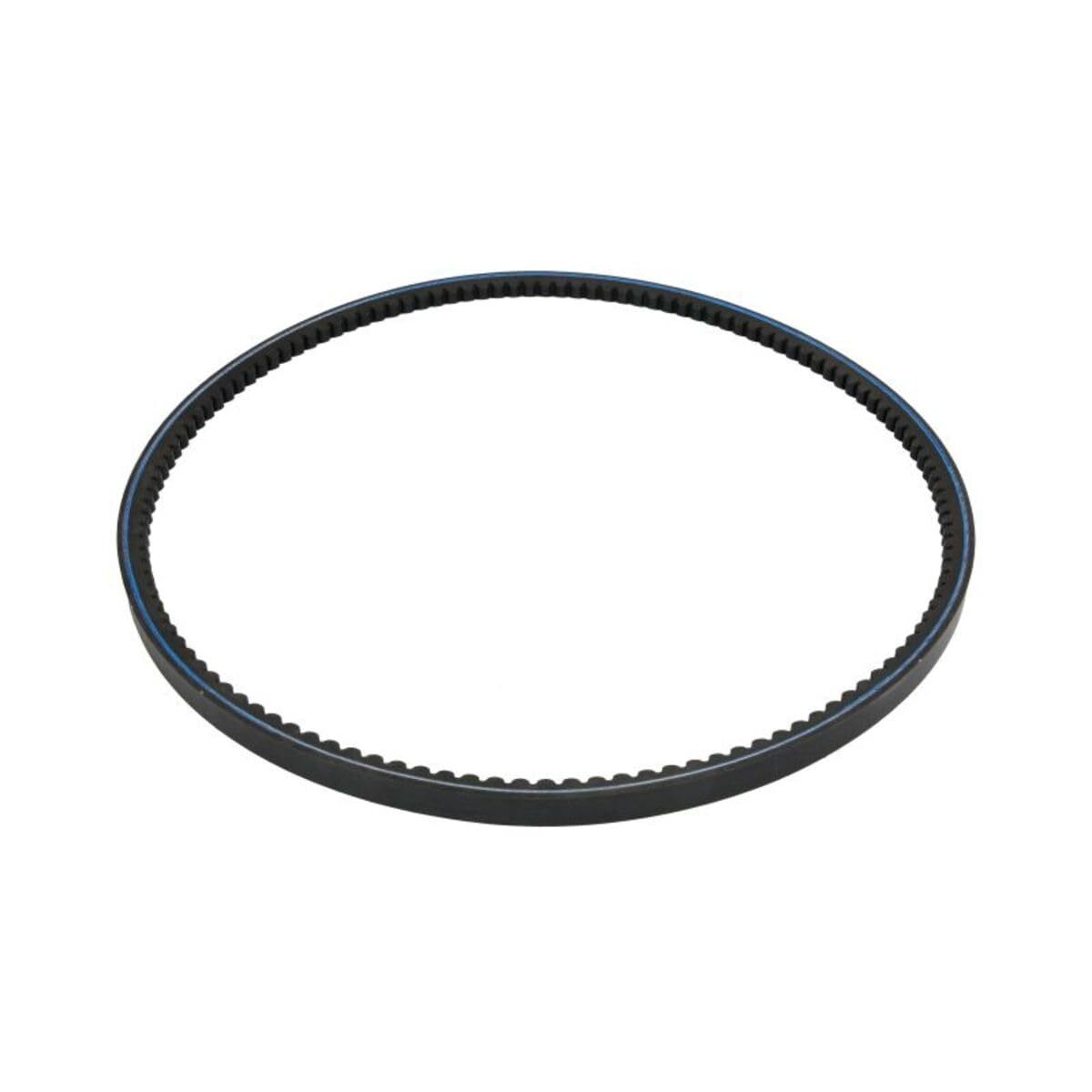 Bomag Fan Belt BO-06312244